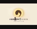 【水樹奈々】ハタダ栗タルト「お便り（お茶うけ）」篇