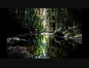 【NNIオリジナル】Whitewater Nymph