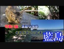 【旅動画】北九州かすぐそこ！あいのしま、藍島！