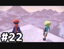 【実況】ポケモンをクリアしたい #22【Pokémon LEGENDS アルセウス】