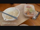 寮よさよなら！公園で手作り弁当食べる癒しが欲しいんだよ