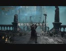 【ELDEN RING】発売日からトロコンするまで【実況】 part51