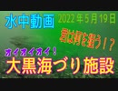 水中動画（2022年5月19日）in　大黒海づり施設