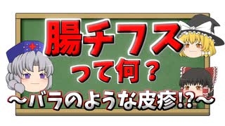 【感染拡大！？】腸チフスって何？症状・治療などをすべて解説！【ゆっくり解説】