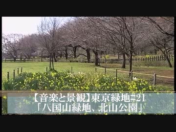 【音楽と景観】東京緑地#21｢八国山緑地、北山公園｣