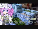 2022年5月20日　農作業日誌P270　大西洋横断と出荷日の作業　VOICEVOX　MYCOEIROINK