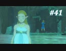 【ゼルダの伝説BotW】実況プレイ-part41-