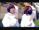 【照×いと】グッバイ宣言【踊ってみた】