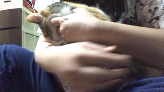 渋子を抱っこするも秒で逃げられる(-ω-；)