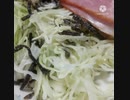 千切りキャベツに山椒松葉いけるさっぱり旨いよ駱駝って英語で？キャベツ違ったキャメル
