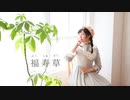 【誕生日】福寿草　踊ってみた【Sawori】