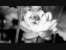 TUFA - Lotus (feat.Miku Hatsune) ver.2022