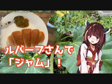 【思い切って野草を食べてみよう】#69 ルバーブさんで「ジャム」！