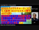 【日英字幕】2022年05月17日  リチャード・コシズミ新型コロナウイルス戦争408〔４０７〕
