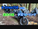 #19 V-Strom250で行く ～ 道志の森・伊豆ツーリング 前編 ～