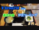 #19 V-Strom250で行く ～ 道志の森・伊豆ツーリング 後編 ～