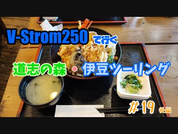 #19 V-Strom250で行く ～ 道志の森・伊豆ツーリング 後編 ～