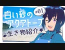【水族館×アニメ】#01 白い砂のアクアトープの生き物紹介