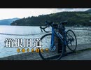 自転車で全力で走り抜きたい『芦ノ湖を見に行くライド（箱根旧道）』