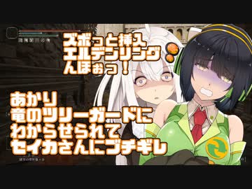 【ELDEN_RING】紲星あかりのズボっと挿入！エルデンリングんほぉっ！～あかり、竜のツリーガードにわからせられてセイカさんにブチギレ（とばっちり）～【VOICEROID実況】