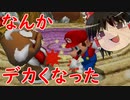 ゆっくり達が征く！スーパーマリオ64DS Part９【ゆっくり実況】