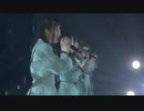 Cheers【Rhodanthe*】