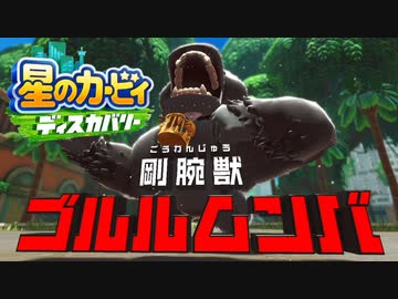 ☆【実況】カービィの大ファンが星のカービィ ディスカバリーを初見プレイ　Part8☆