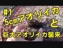 【#1 イカ釣り】めちゃ小さいアオリイカと巨大アオリイカが引っ掛かりました！ヤエン釣り