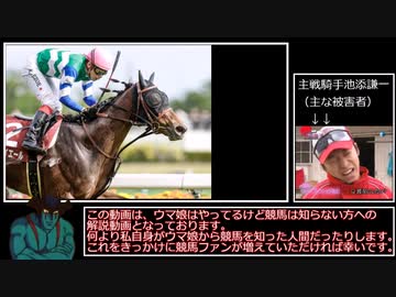 ウマ娘民が解説するメイケイエールについて（前編）