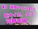【#2 イカ釣り動画】巨大タコ、巨大アオリイカ同時に出現！急な展開で大慌て！ヤエン釣り遠征