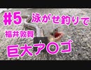 【#5 釣り動画】巨大ア〇ゴが釣れた！アジの泳がせ釣りでヒットしました！