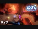 ミサイルの子守はたいへん【Ori and the Will of the Wisps】#20