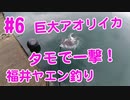 【#６ イカ釣り動画】巨大アオリイカを一撃で！ヤエン釣り遠征！