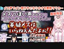 腹筋が余裕すぎて罰ゲームにならないこよりとメン限おかゆに敏感すぎるかなた