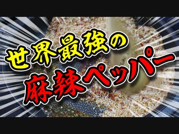 世界最強の麻辣ペッパーを作りたい！！（嫌がる娘に無理やり弁当を持たせてみた息子編）