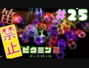 【笛禁止！】笛を吹くことができない主人公の冒険【ピクミン2実況】#25