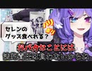 バカは救えない "I CAN'T SAVE STUPID"──Selen Tatsuki 2022