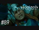 【ゆっくり実況】Horizon Zero Dawn その89