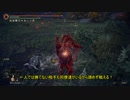 全力で楽しんだ侵入/攻略の思い出! 【霧の猛禽】