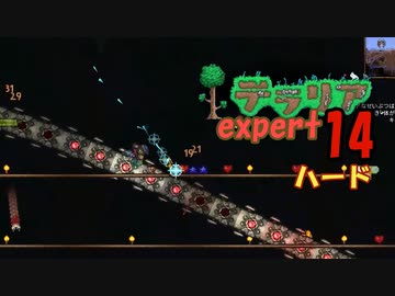 【ゲーム実況】アップデートされたテラリアを上級モードのハードで遊ぶ 14【テラリア】