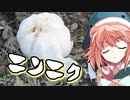 【ニンニク祭2022】やるせない現実 （「美宵の家庭園芸日誌」ニコニコ出張版）