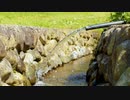 水　