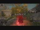 【エルデンリング】出待ち狩りの侵入 part2