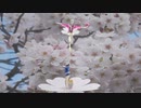 桜が咲いたよ。Y.AVI