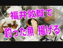 【料理動画】福井県敦賀で釣った魚達を揚げて美味しくいただきました！