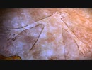 息抜きEXTELLA　part33