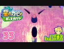 ロボ勇者の、星のカービィディスカバリーで実況学習33【VTuber】