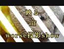 映る・of・worse投影show