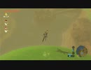 オタメガのブレワイ　09　5/10