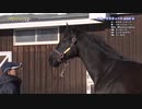 ２歳馬のＸＸＸをゆかりんがナニする番組2022 part.2